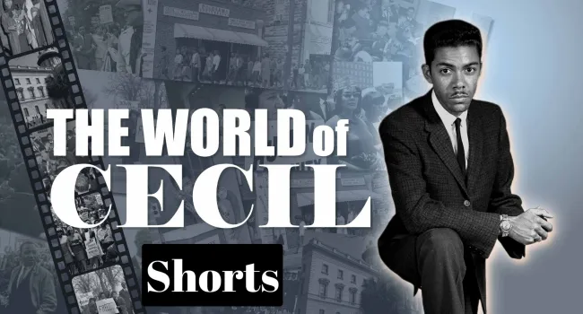 
            <div>The World of Cecil - Shorts</div>
      