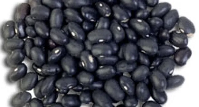 Beans | Periscope