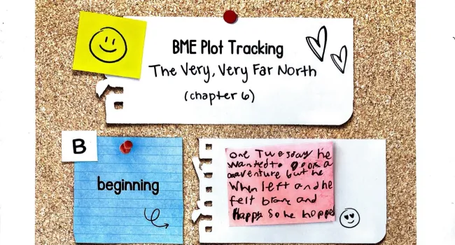 BME Plot Tracking Anchor Chart Example 1