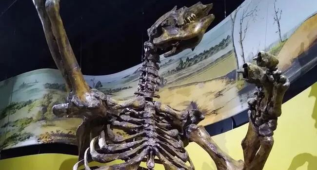 Eremotherium Giant Ground Sloth | Curiosity Trek!
