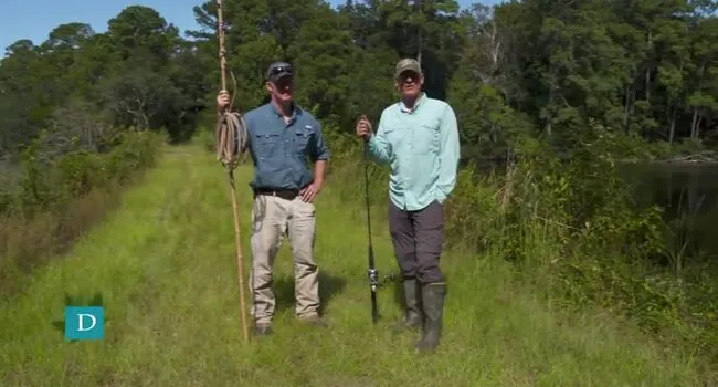 Kingsnake In Field Research | Coastal Kingdom Adult Alligators | Coastal Kingdom