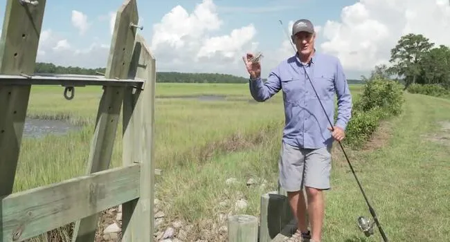 Kingsnake In Field Research | Coastal Kingdom Crab Snare | Coastal Kingdom