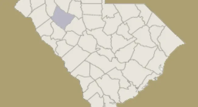 
            <div>Laurens County | Digital Traditions | Special Projects</div>
      