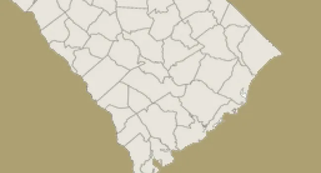 
            <div>Pickens County | Digital Traditions | Special Projects</div>
      