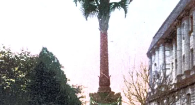 The Palmetto Monument | History of SC Slide Collection