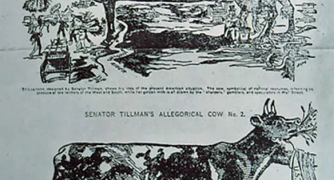 Senator Ben Tillman's "Cow Cartoons" | History of SC Slide Collection