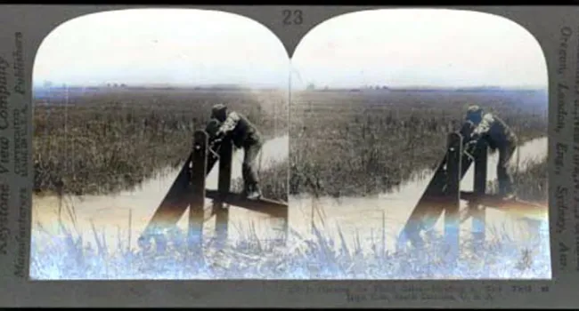 Flooding a Rice Field at High Tide | History of SC Slide Collection