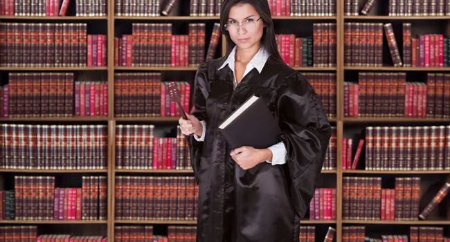 
            <div>Women in Legal Professions</div>
      