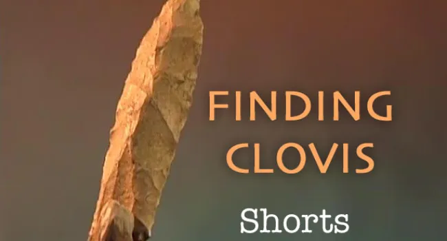 
            <div>Finding Clovis - Shorts</div>
      