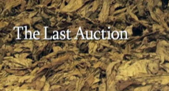 
            <div>Last Auction</div>
      