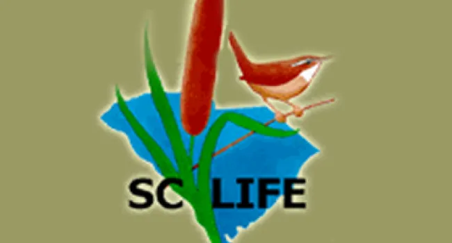 SC LIFE logo
