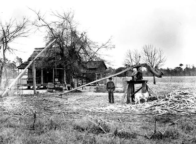 Photo Asset Sorghum Cane Grinder History of SC Slide Collection Knowitall